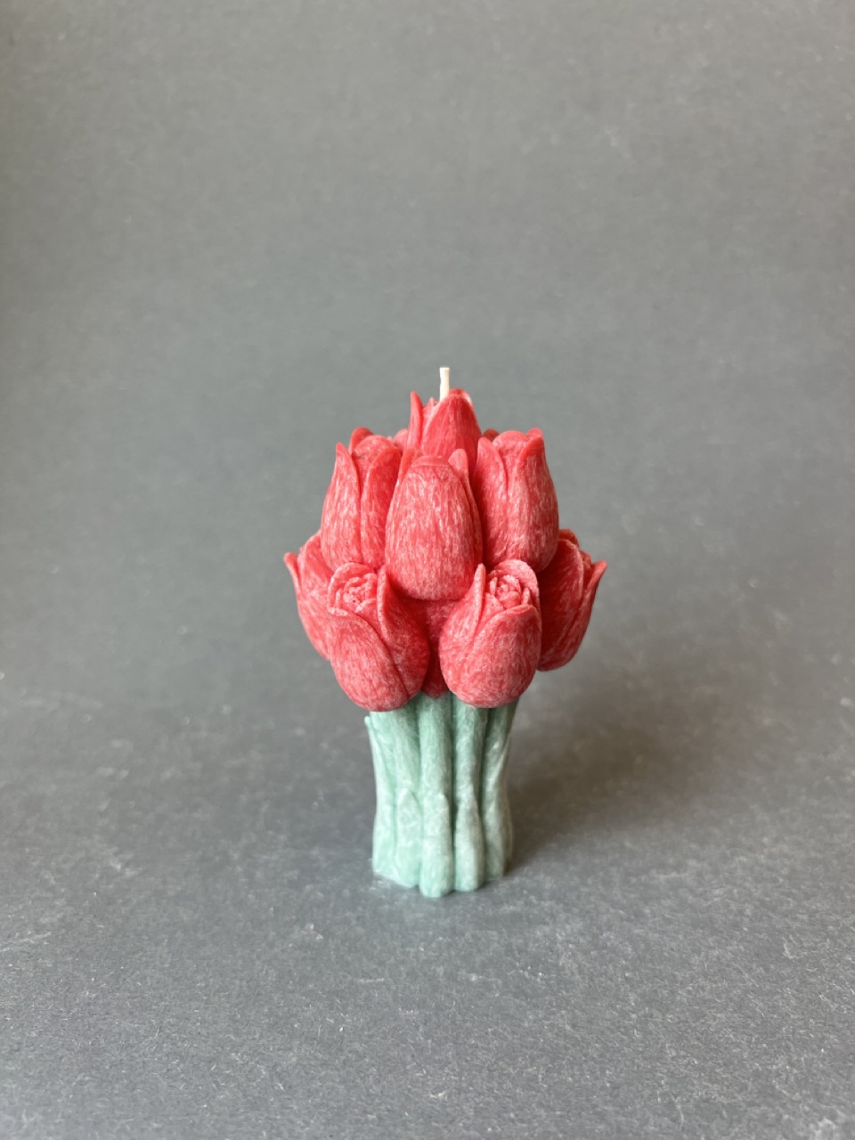 Kytica tulipány