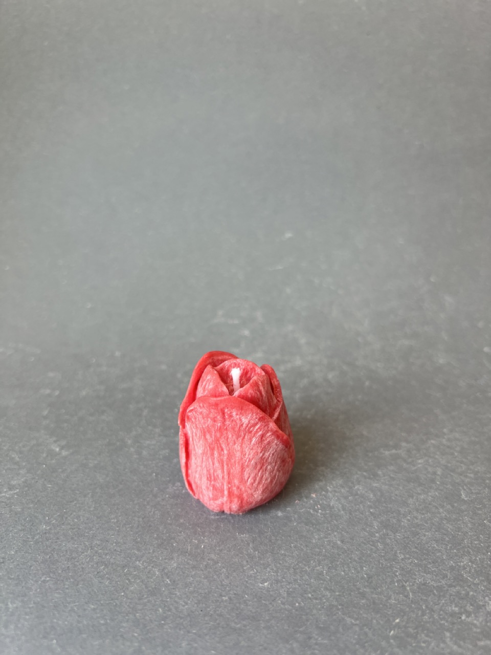 Tulipán